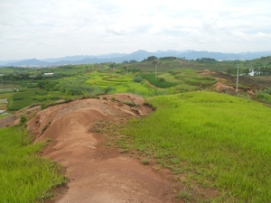 Looking back over small rock outcrops between rice fields. (Photo by Ethan Schreuder).