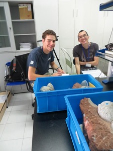 Ethan and Nick slave away over measurements of compression ridge angles on spheroolithus and dictyoolithus eggs.